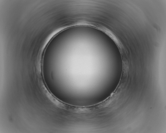 X0000110741148200906151058