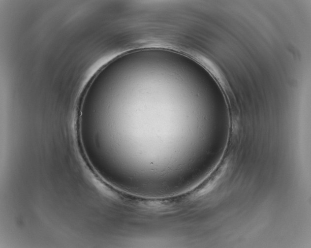 X0000110741149200906151058