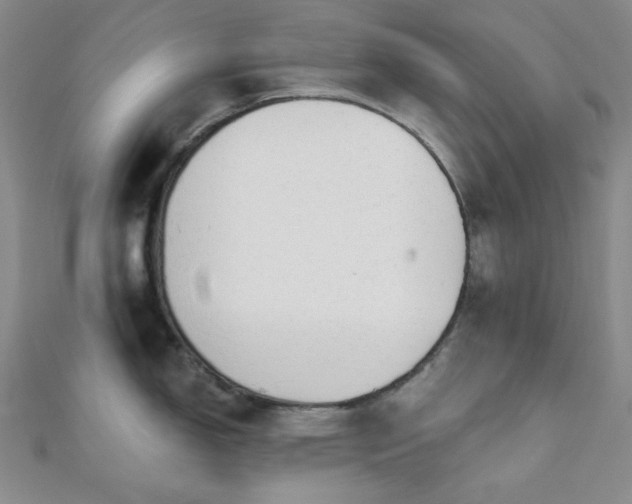 X0000110741150200906151058
