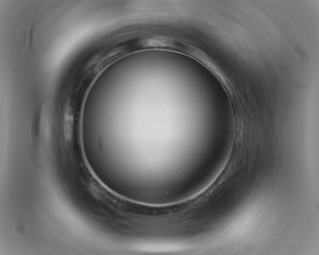 X0000110741151200906151058