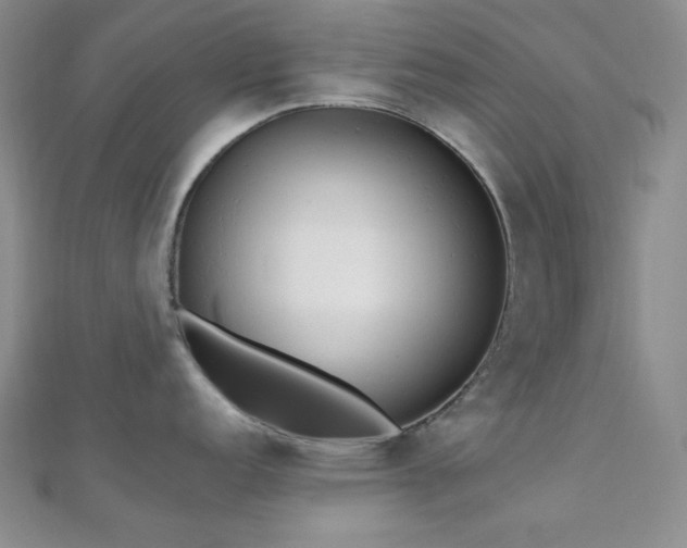 X0000110741152200906151058