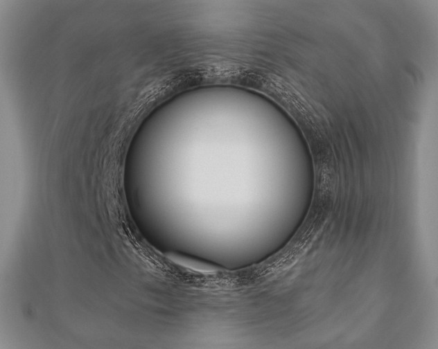 X0000110741153200906151058