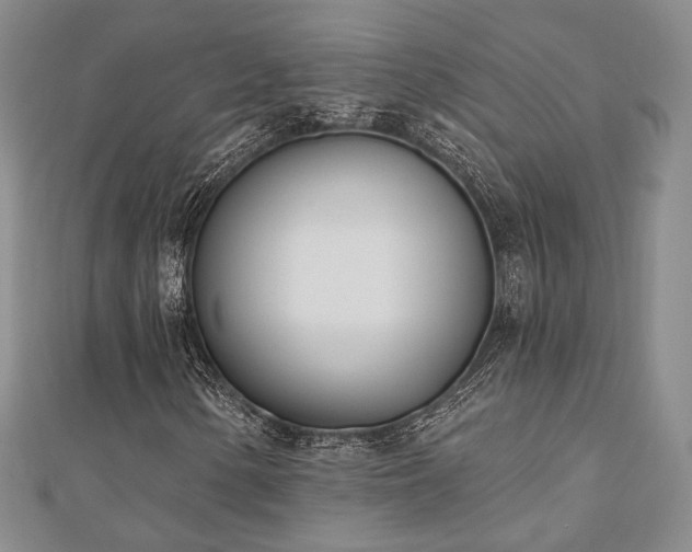 X0000110741154200906151058