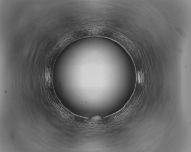 X0000110741155200906151058