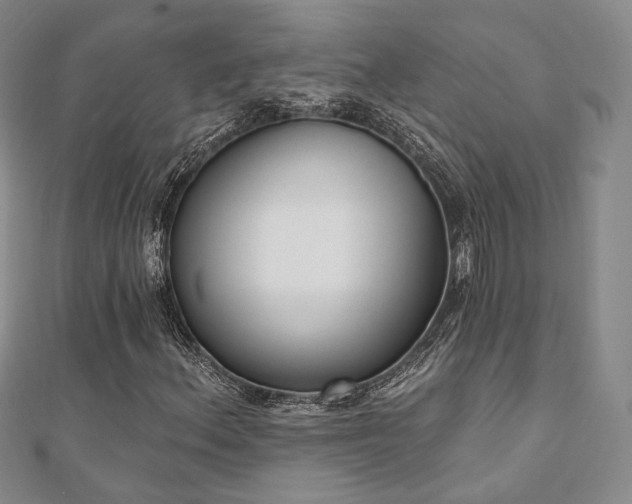 X0000110741156200906151058
