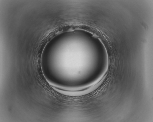 X0000110741157200906151058