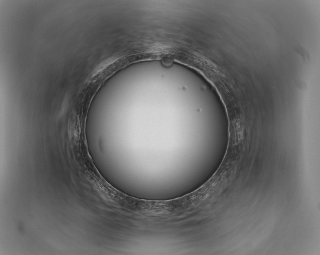 X0000110741158200906151058