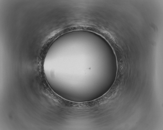 X0000110741159200906151058