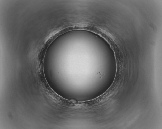 X0000110741160200906151058
