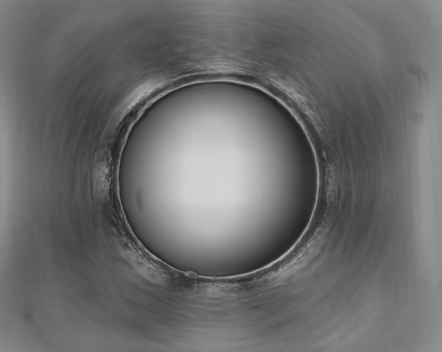X0000110741163200906151057