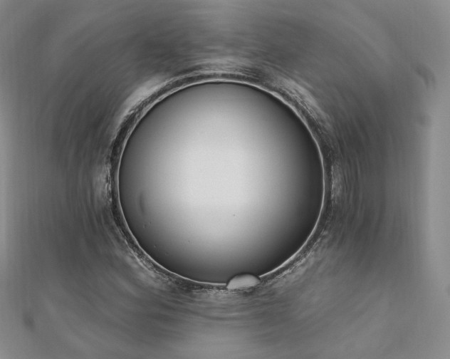 X0000110741164200906151057