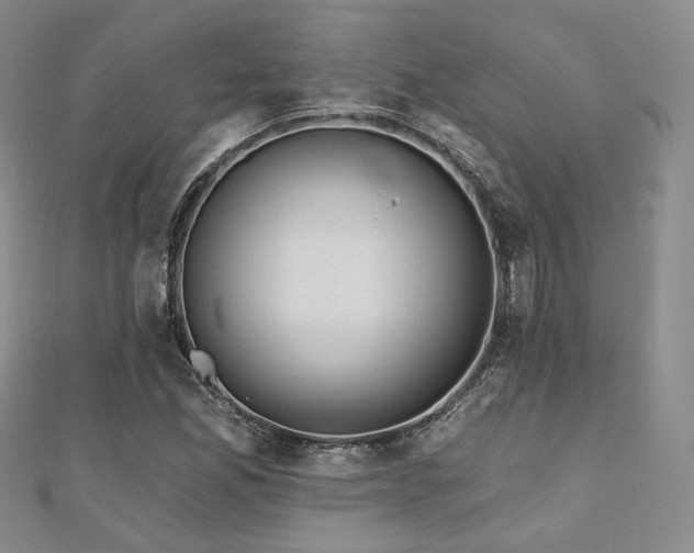 X0000110741165200906151057
