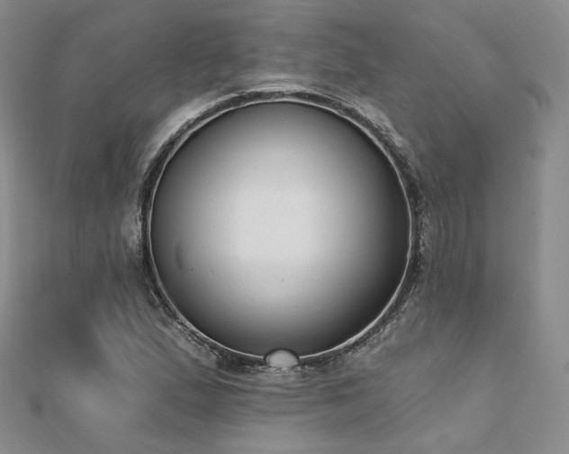 X0000110741167200906151057