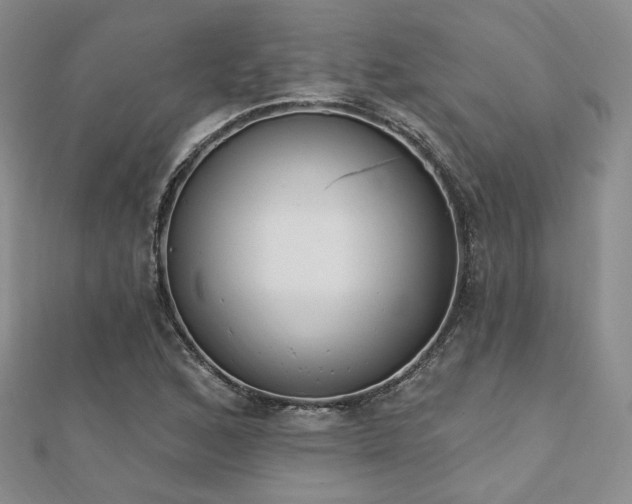 X0000110741168200906151057