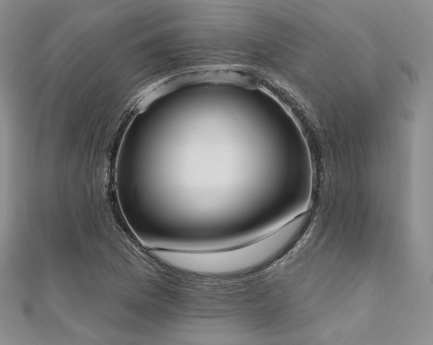 X0000110741169200906151057