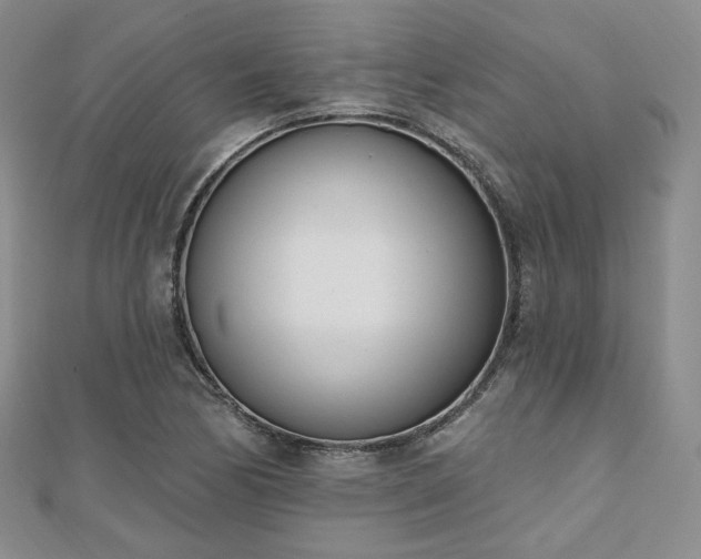 X0000110741170200906151057