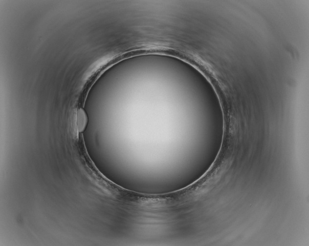 X0000110741171200906151057