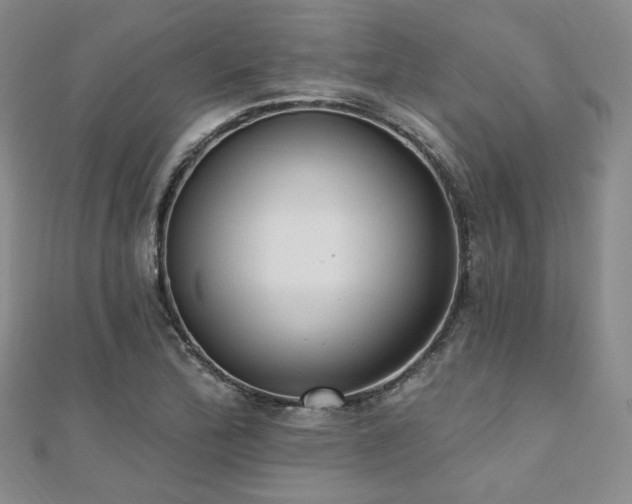 X0000110741172200906151057