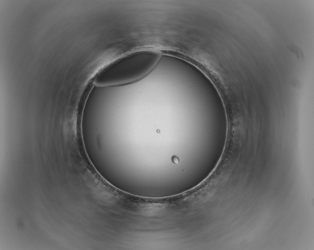 X0000110741173200906151057