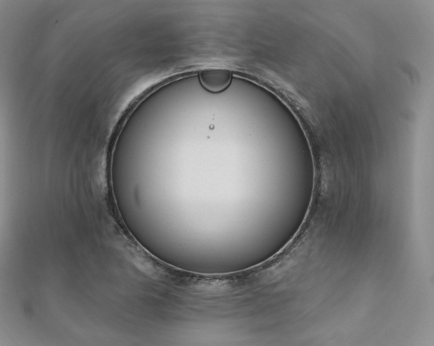 X0000110741174200906151057