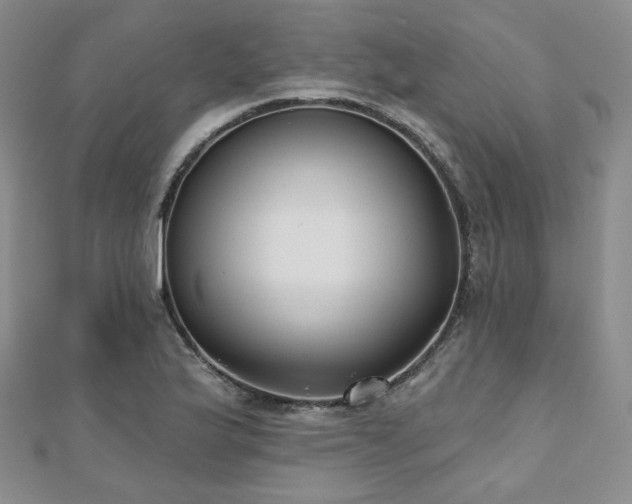 X0000110741175200906151057