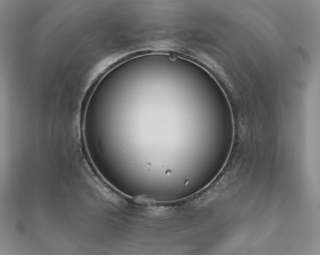 X0000110741176200906151057