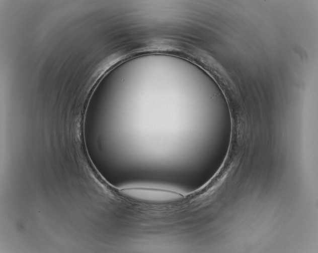 X0000110741177200906151057