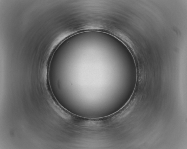 X0000110741179200906151057