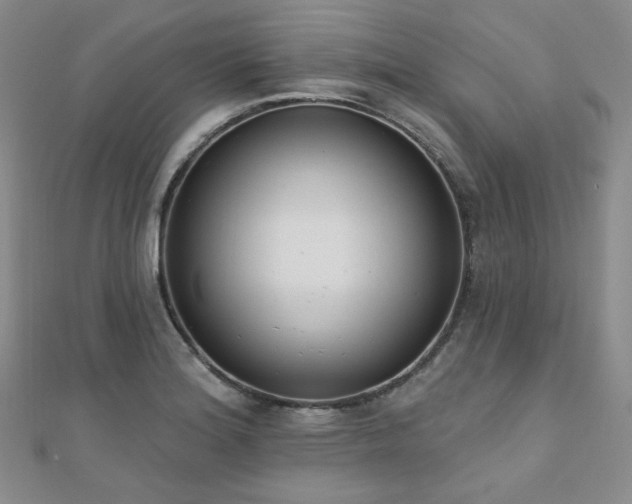 X0000110741180200906151057