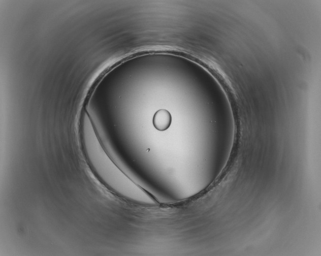 X0000110741181200906151057