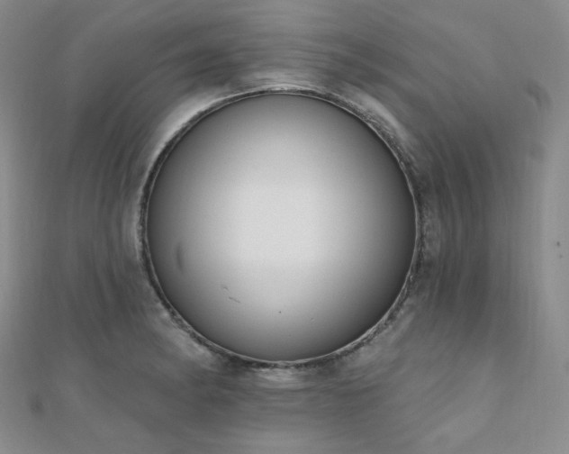 X0000110741182200906151057