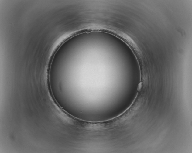 X0000110741183200906151057