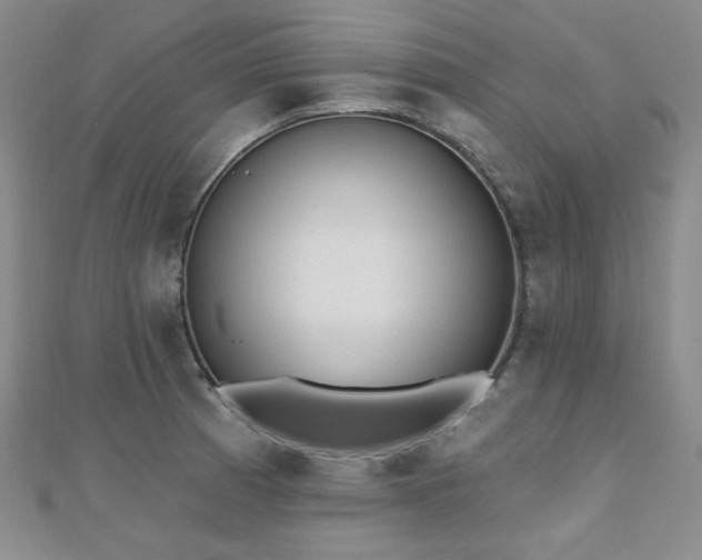 X0000110741185200906151057