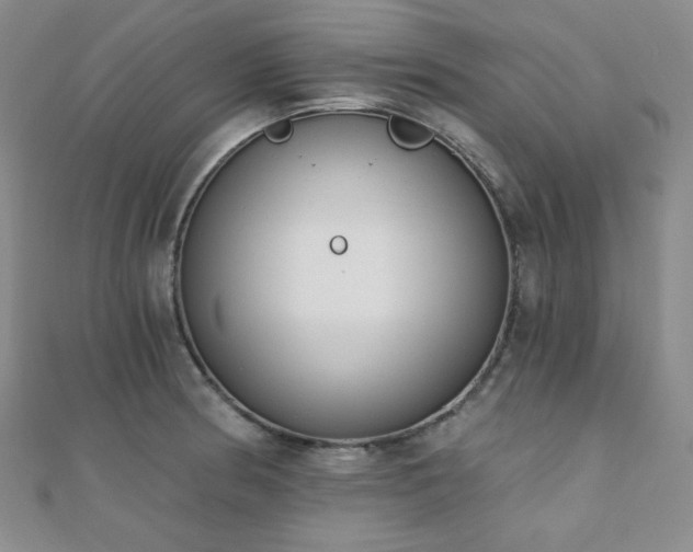 X0000110741186200906151057