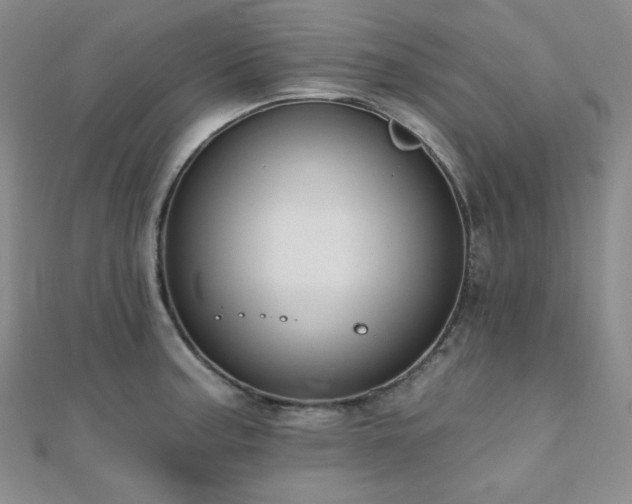 X0000110741187200906151057
