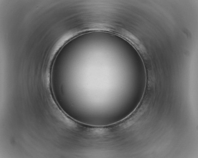 X0000110741188200906151057
