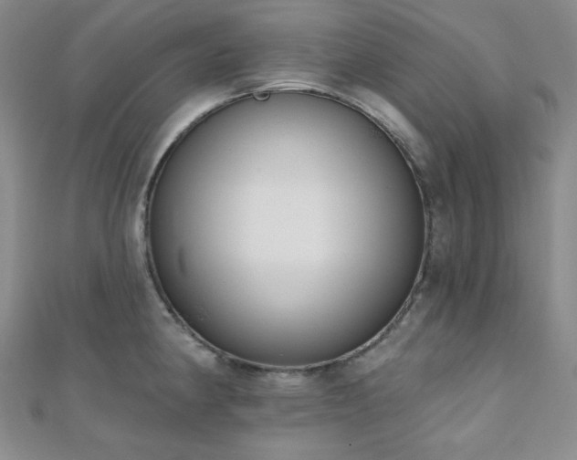 X0000110741190200906151057