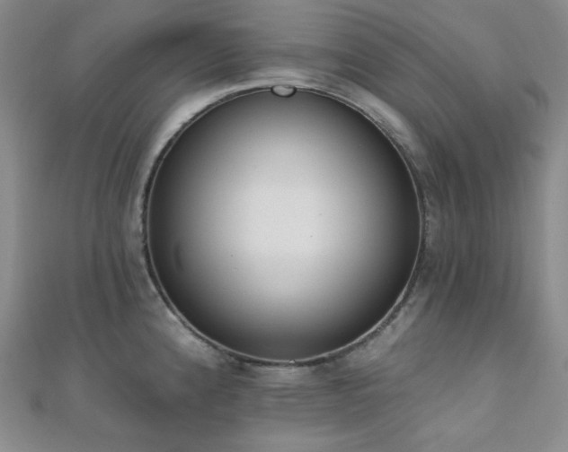 X0000110741192200906151057