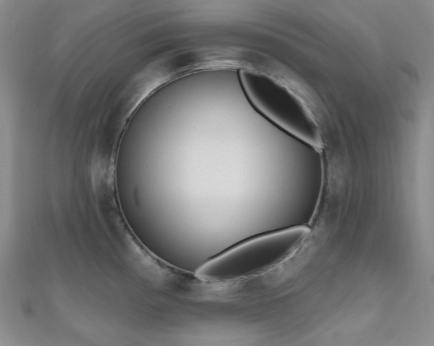 X0000110741193200906151057