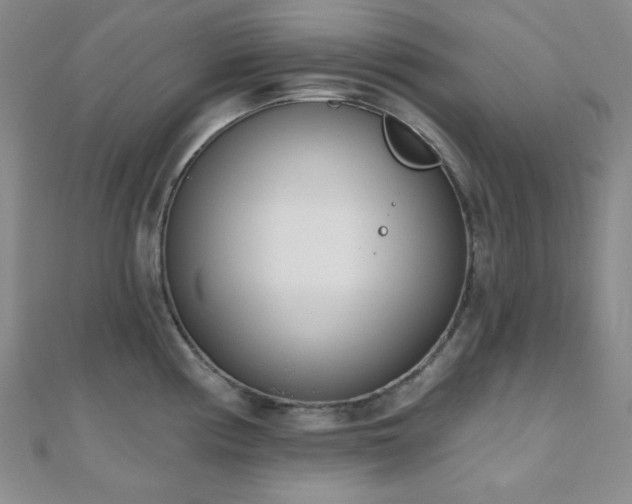 X0000110741194200906151057