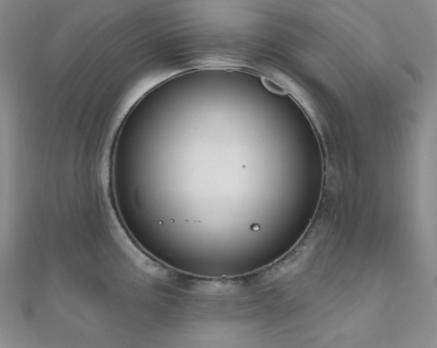 X0000110741195200906151057