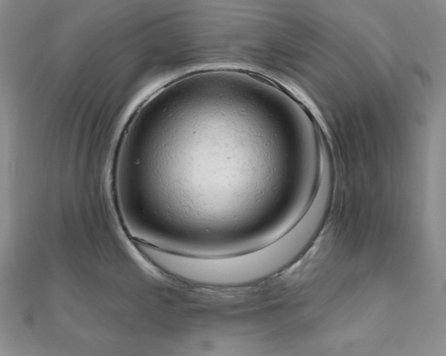 X0000110741197200906151057