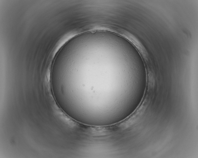 X0000110741198200906151057