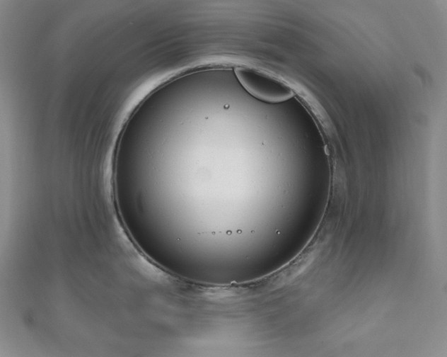 X0000110741199200906151057
