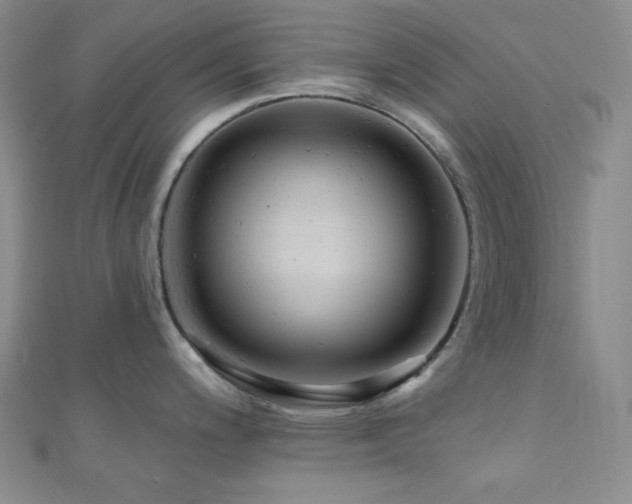 X0000110741200200906151057