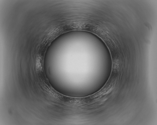 X0000110741202200906151056