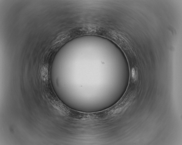 X0000110741203200906151056