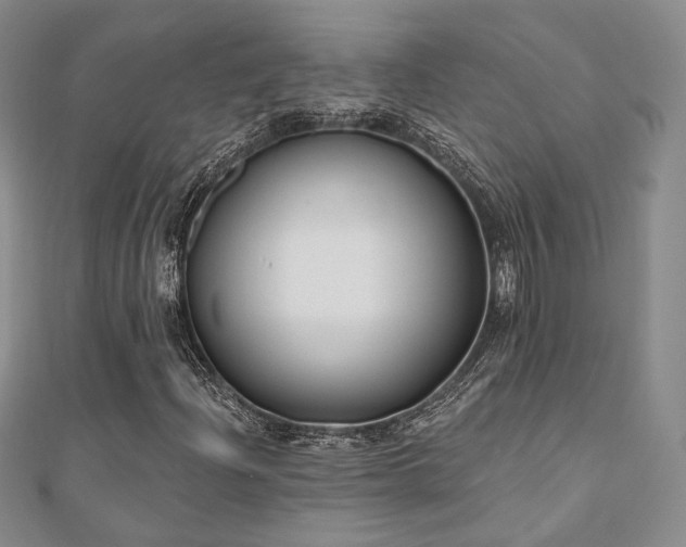 X0000110741204200906151056