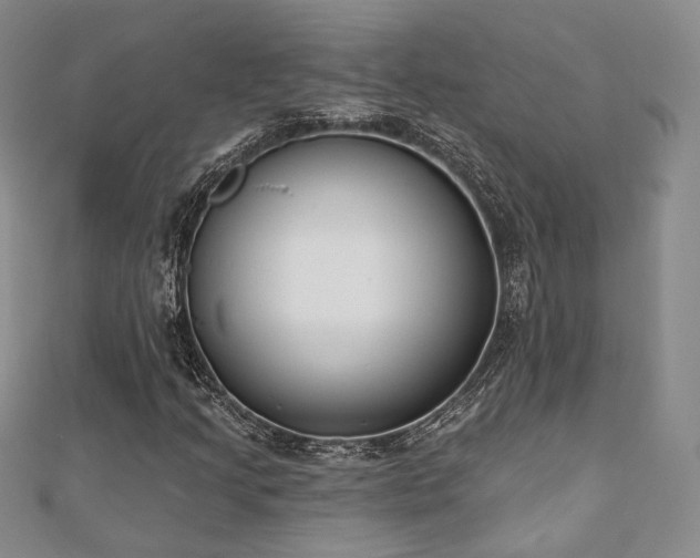 X0000110741205200906151056