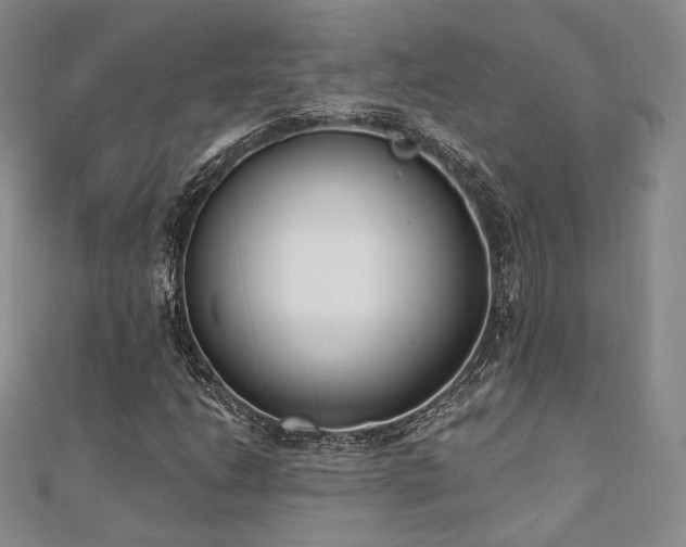 X0000110741206200906151056